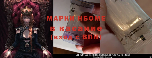 ешки Аркадак