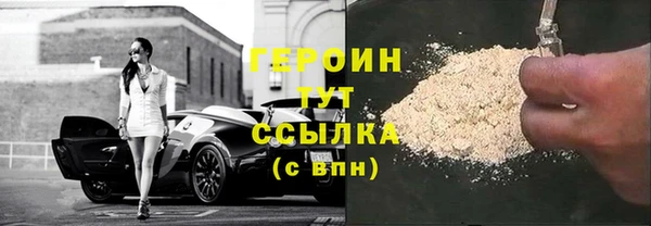 молекула духа Кропоткин