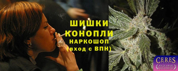 ешки Аркадак