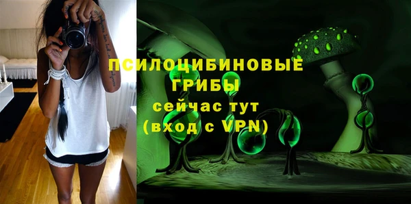 ECSTASY Тобольск